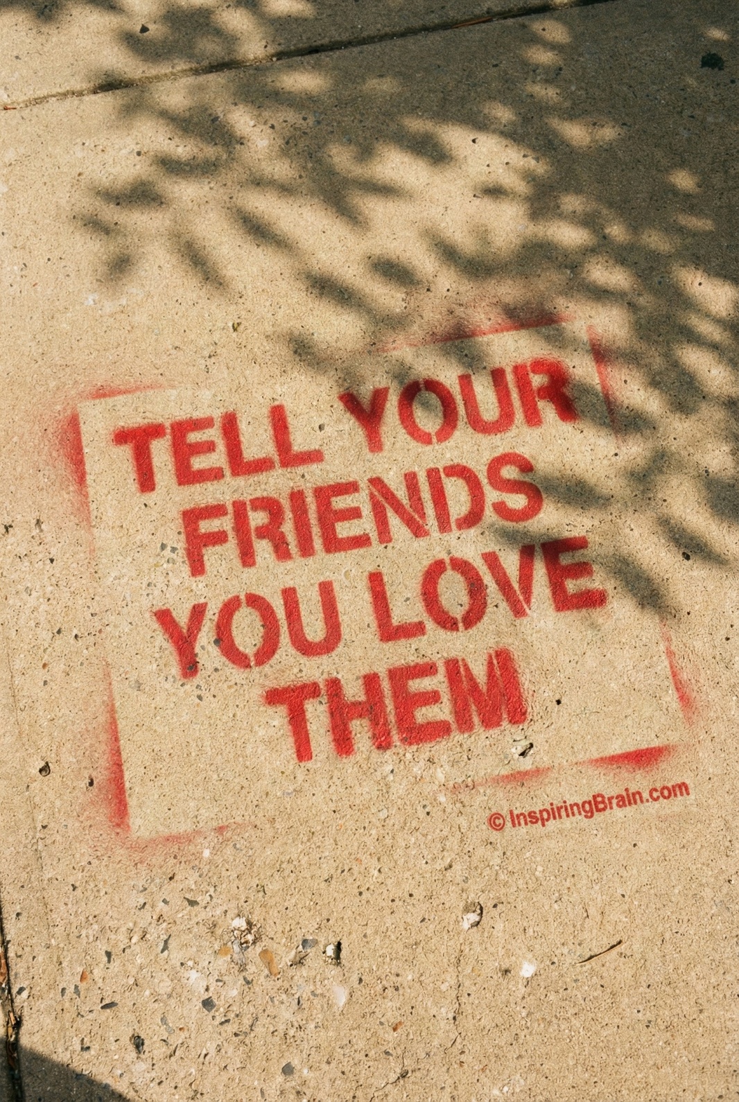 tell your friends that you love them
