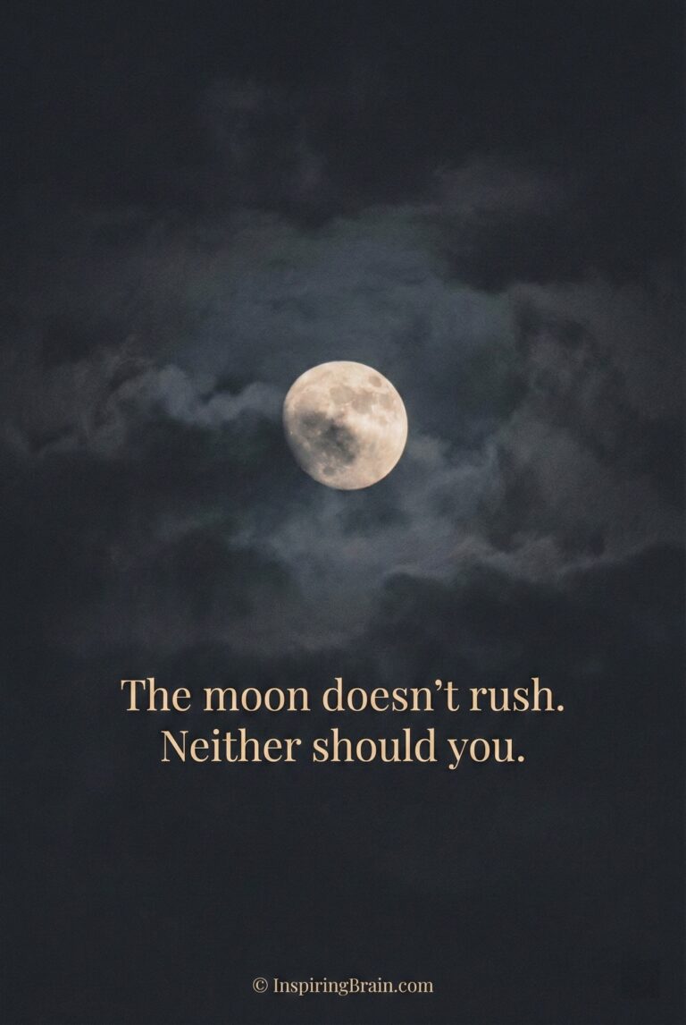 The moon doesn't rush. Neither should you.